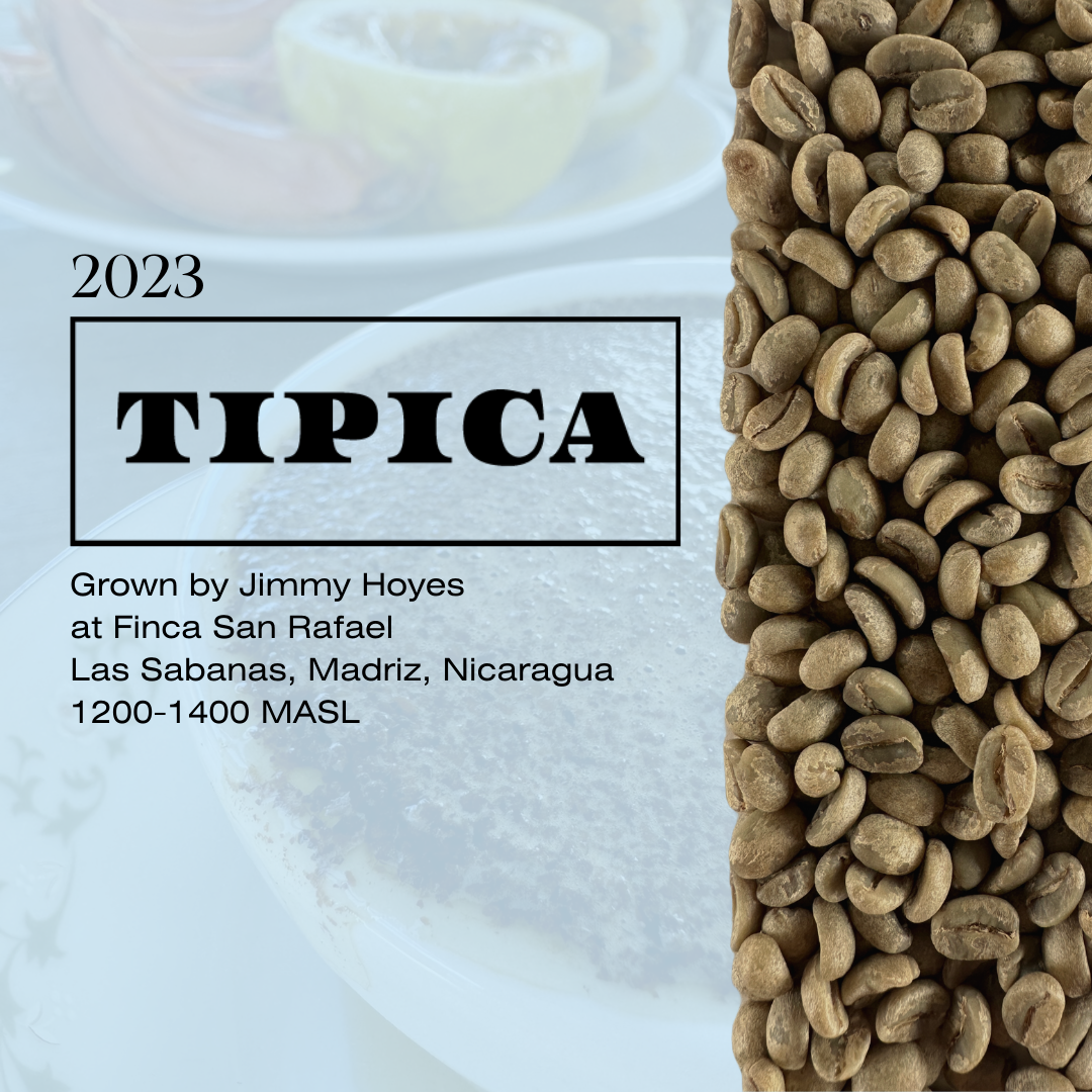 Tipica