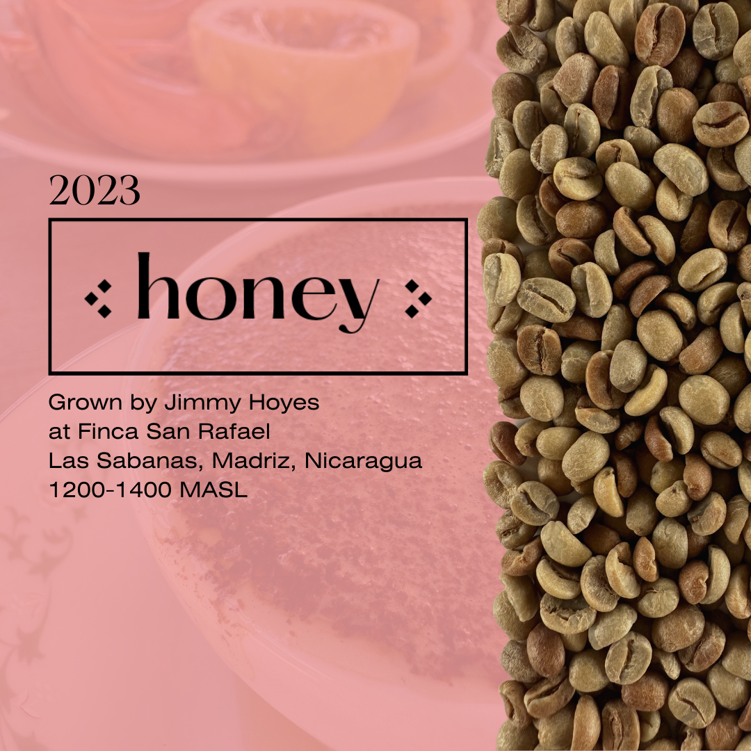 Honey Washed Caturra
