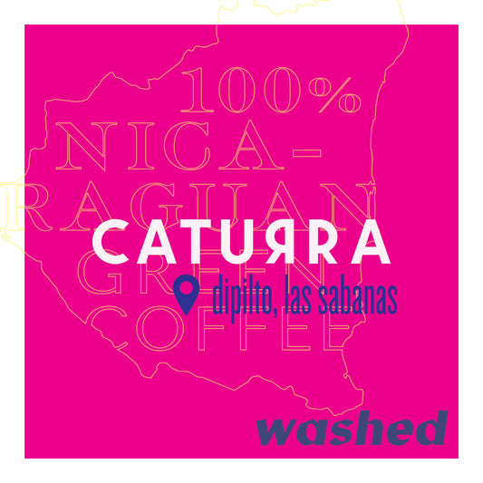 Caturra