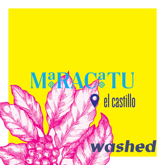 Maracaturra