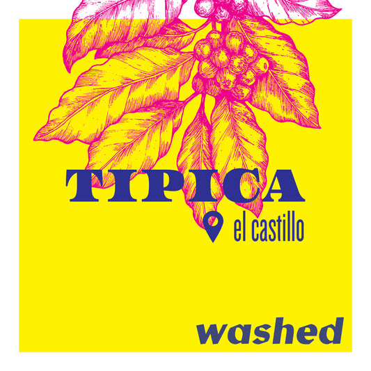 Tipica