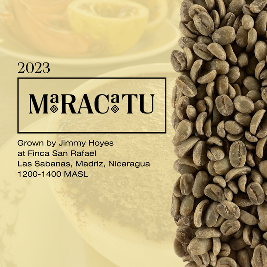 Maracaturra